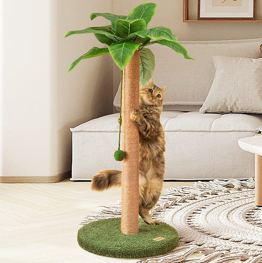 Cat Scratching Post 33 inch with Sisal Rope for Indoor Cats Large Kitten Scratching Post Green