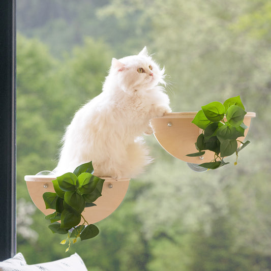 2PCS Cat Window Steps Cat Window Shelf Suction Cups Climbing Stair Cat Perch Bed Durable Cat Seat for Window